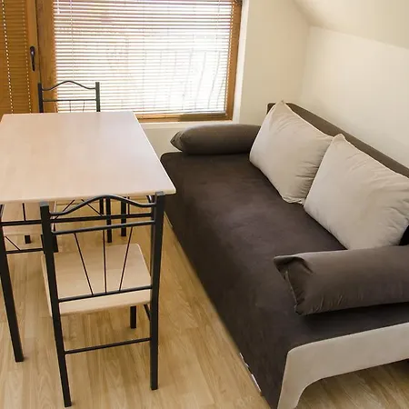 Apartment Studio Vanchurov *